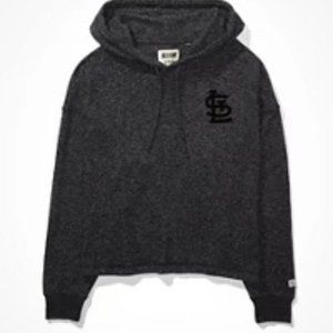 AE Tailgate  St. Louis Cardinals Plush Hoodie.